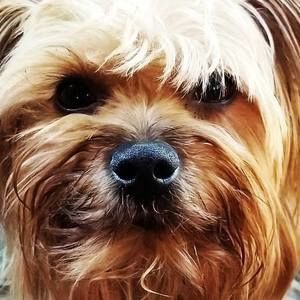 Meet your Posher, Tonya